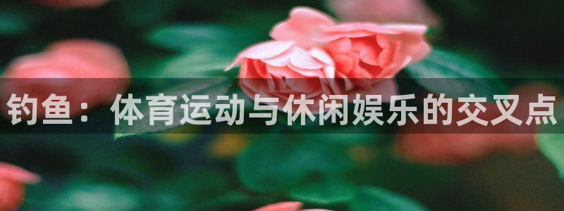 鲸鱼体育app免费下载链接