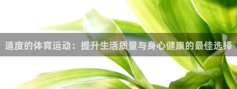鲸鱼体育直播为什么下架了：适度的体育运动：提升生活质量与身心健康的最佳选择